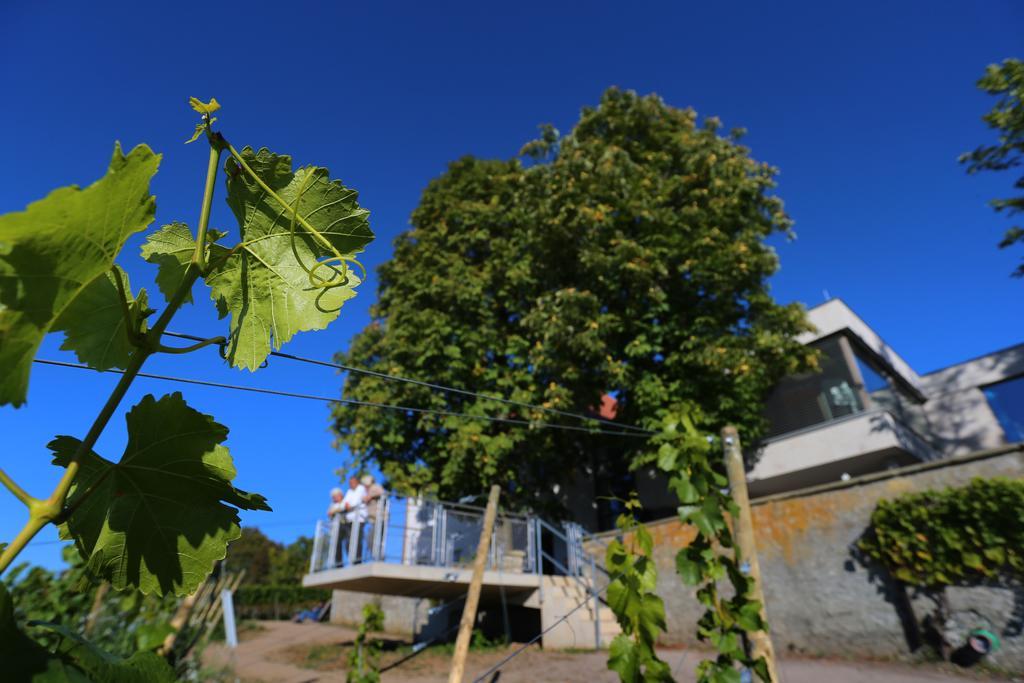 Vogelsburg Hotel Escherndorf Exterior photo