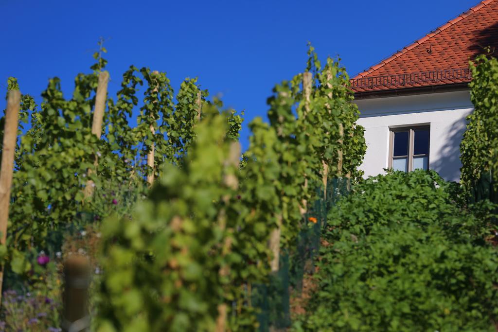 Vogelsburg Hotel Escherndorf Exterior photo